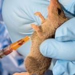 Lassa Fever- Ebonyi State