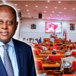 CBN governor, Cardoso