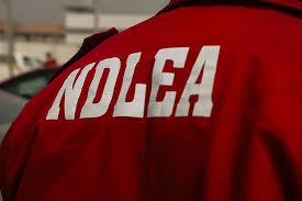 Visa NDLEA Husband's Approval