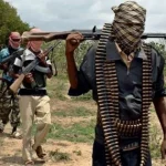 Yobe Terrorists Kill Many