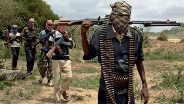 Yobe Terrorists Kill Many