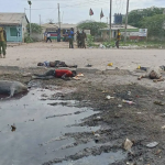 Bomb attack in Kenya kills 5 people near Somali border