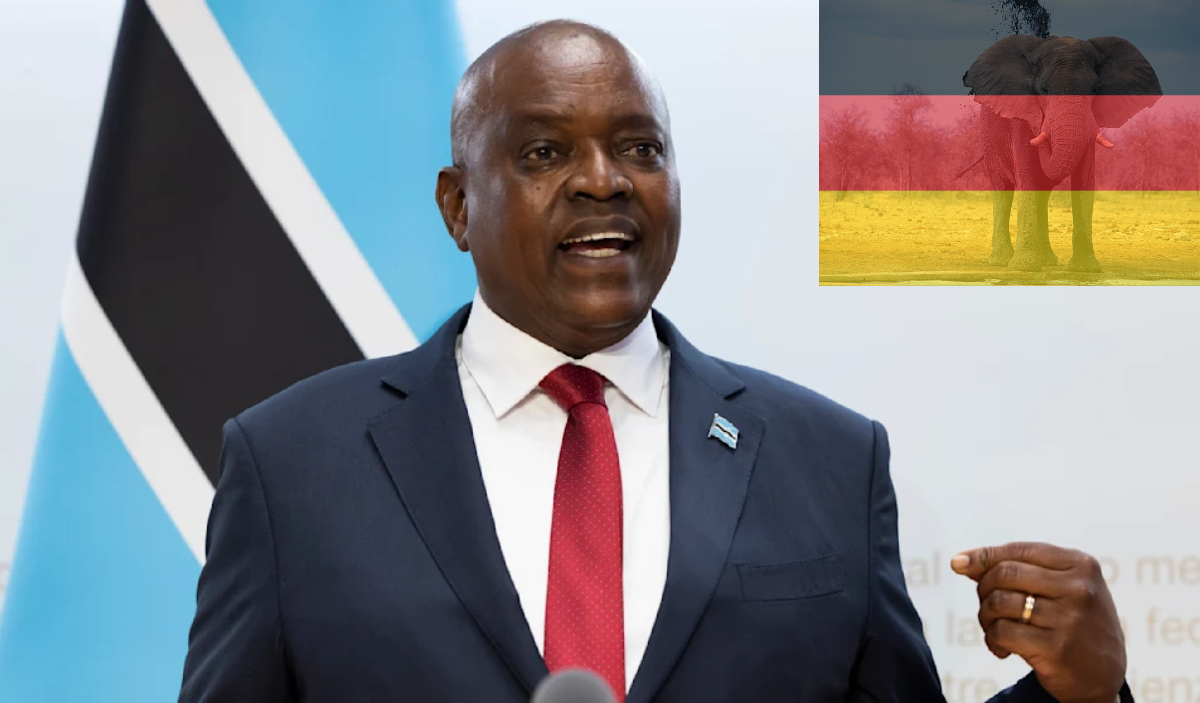 Botswana wants to deport 20,000 elephants to Germany