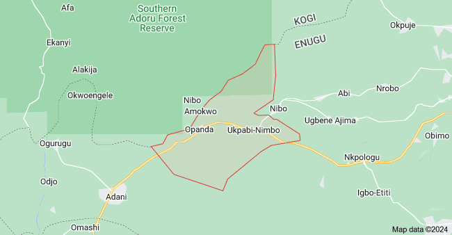 The recent brutal attack on Ugwujoro village in the Nimbo Community of Uzo Uwani Local Government Area of Enugu State has sent shockwaves through the community, leaving residents reeling in grief and fear.