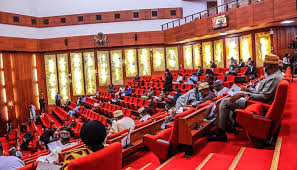 In a contentious session on Thursday, the Nigerian Senate passed a significant amendment to the National Drug Law Enforcement Agency