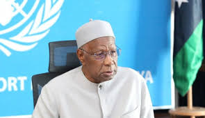 UN Envoy Abdoulaye Bathily