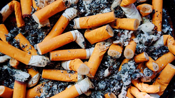 WHO tobacco guideline