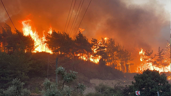 Turkey Wildfire