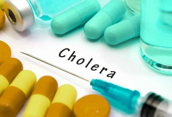   Yobe State cholera cases