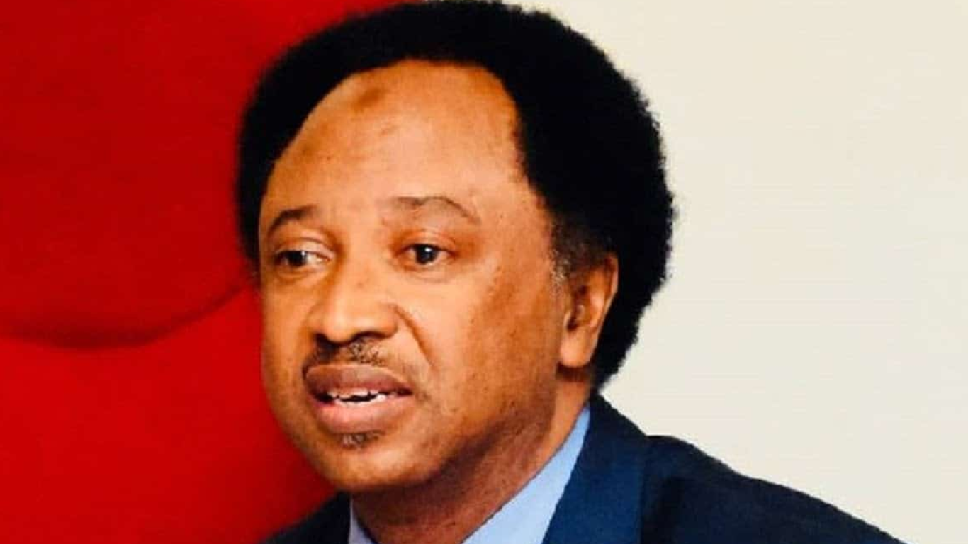 Ex-Senator Shehu Sani Charges Tinubu to Release #EndSARS Protesters Imprisoned