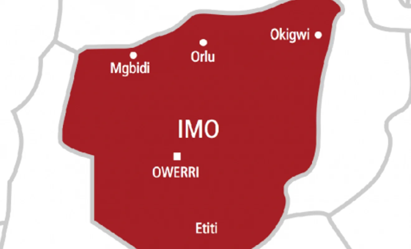 Imo local government election