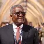 Dangote Nigeria Steel Industry