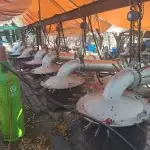 South African Meth Lab