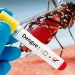 Ghana Dengue Fever Cases