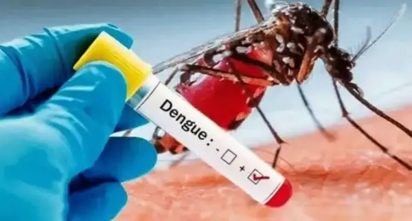 Ghana Dengue Fever Cases