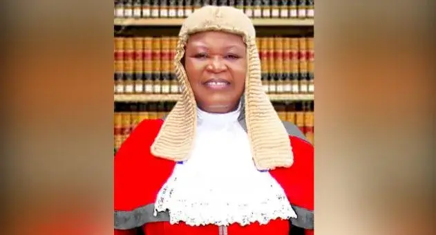The Chief Judge of Imo State, Justice Theresa Chukwuemeka-Chikeka, has obtained an interim injunction against the Imo State House of Assembly and other defendants regarding allegations of age falsification.