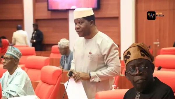 Tinubunomics Finance Bill To Tax 50 Of Banks FX Gains Passes Second Reading