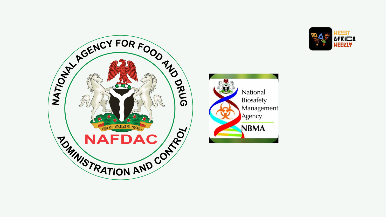 We Do Not Have Evidence To Prove GMOs Are Safe For Human Consumption - NAFDAC