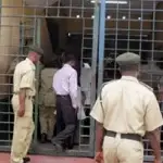 Protest Prisons Red Zones