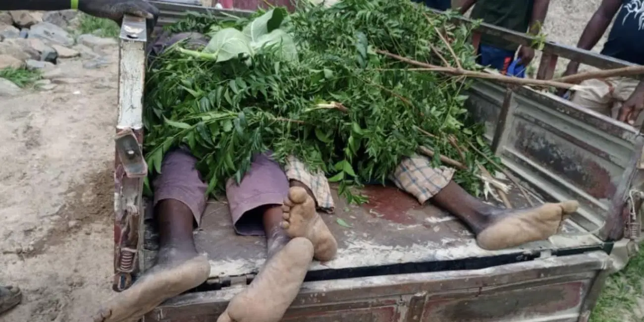 Terrorists Farmers Gwoza, Borno