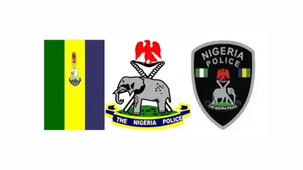 Nigerian Police Arrests 10 Protesters For Flying Russian Flags, 101 Others On Violence in Gombe