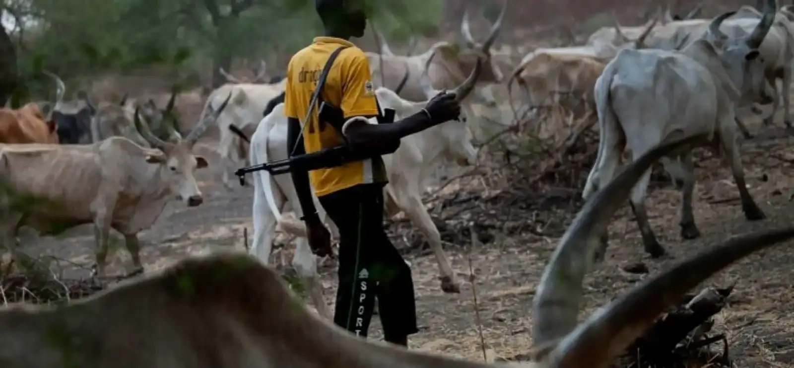 Herdsmen Farmer Killed Ondo