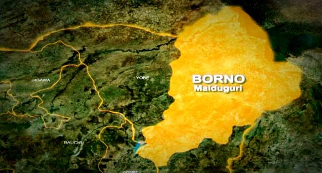 Flood Borno Cholera Outbreak