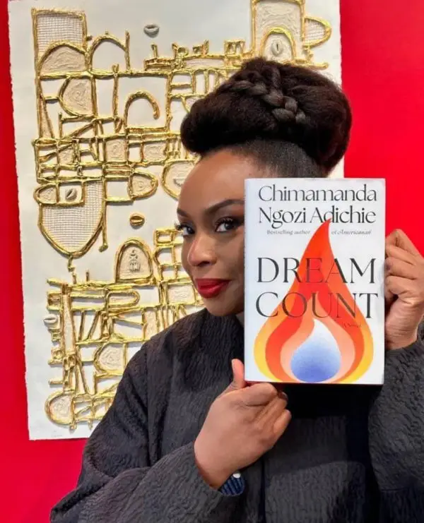 Chimamanda Adichie Dream Count