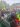 Protests in Mali
