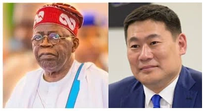 Seyi Tinubu flying presidential jet