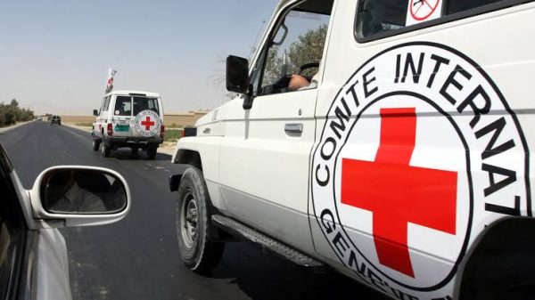 Niger and Red Cross